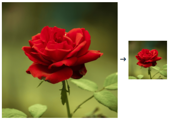 Imagemagick How to Resize image (keep aspect ratio)