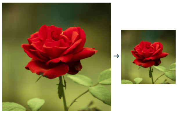 Imagemagick How to Resize image (keep aspect ratio)