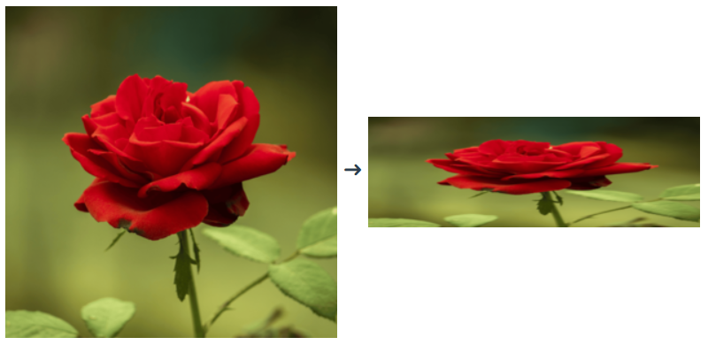 Imagemagick Forced Resize image (ignore aspect ratio)