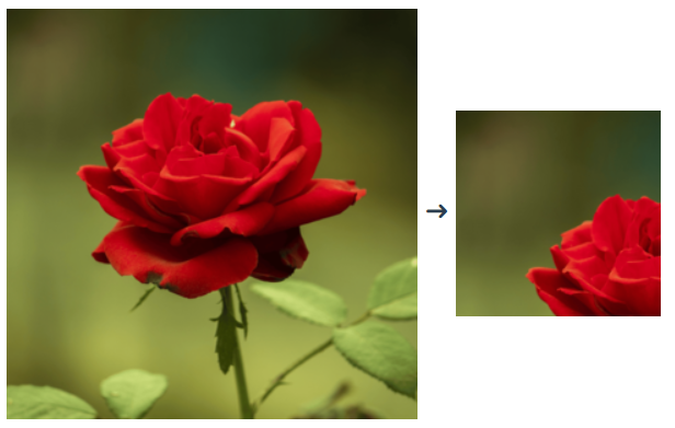 Imagemagick Forced Resize image (ignore aspect ratio)